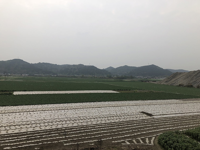 市、縣領(lǐng)導(dǎo)現(xiàn)場調(diào)研天馬50萬噸玻瓶項(xiàng)目(圖7)